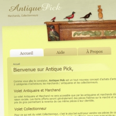 Antique Pick