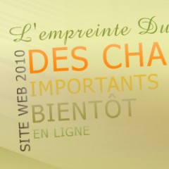 changements importants 2010