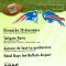 Patriots contre Buffalo